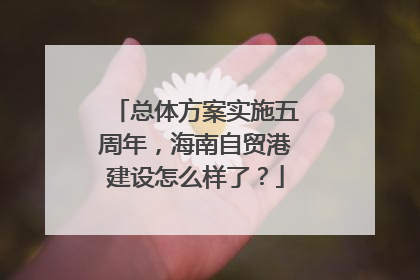 总体方案实施五周年，海南自贸港建设怎么样了？