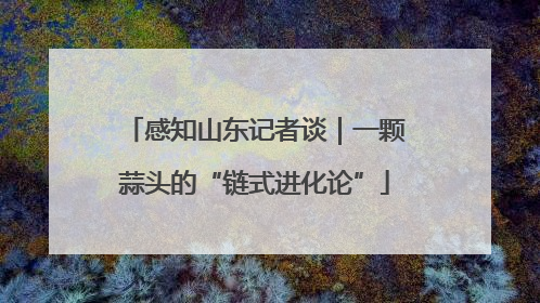 感知山东记者谈｜一颗蒜头的“链式进化论”