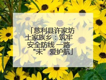 慈利县许家坊土家族乡：筑牢安全防线 一路“未”爱护航