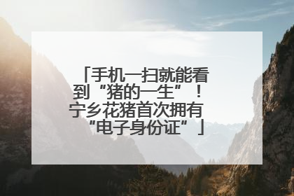 手机一扫就能看到“猪的一生”！宁乡花猪首次拥有“电子身份证”