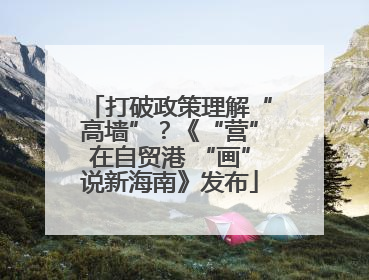 打破政策理解“高墙”？《“营”在自贸港 “画”说新海南》发布