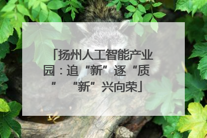 扬州人工智能产业园：追“新”逐“质” “新”兴向荣