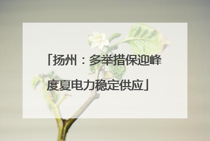 扬州：多举措保迎峰度夏电力稳定供应