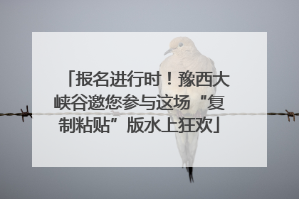 报名进行时！豫西大峡谷邀您参与这场“复制粘贴”版水上狂欢