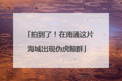 拍到了！在南通这片海域出现伪虎鲸群