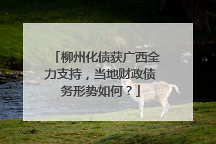 柳州化债获广西全力支持，当地财政债务形势如何？