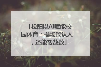 松阳以AI赋能校园体育：操场能认人，还能帮数数