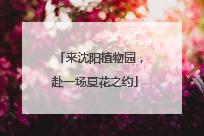 来沈阳植物园，赴一场夏花之约