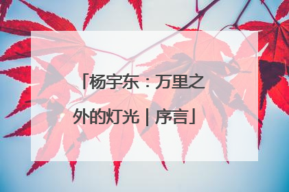 杨宇东：万里之外的灯光｜序言