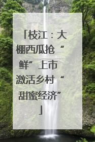 枝江：大棚西瓜抢“鲜”上市 激活乡村“甜蜜经济”