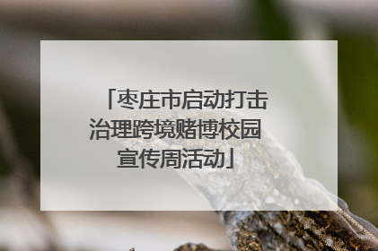 枣庄市启动打击治理跨境赌博校园宣传周活动