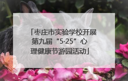 枣庄市实验学校开展第九届“5·25”心理健康节游园活动