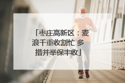 枣庄高新区：麦浪千重收割忙 多措并举保丰收