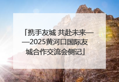 携手友城 共赴未来——2025黄河口国际友城合作交流会侧记