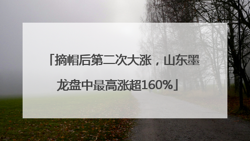摘帽后第二次大涨，山东墨龙盘中最高涨超160%
