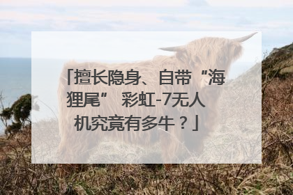 擅长隐身、自带“海狸尾” 彩虹-7无人机究竟有多牛？