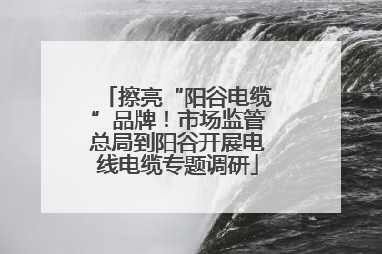擦亮“阳谷电缆”品牌！市场监管总局到阳谷开展电线电缆专题调研