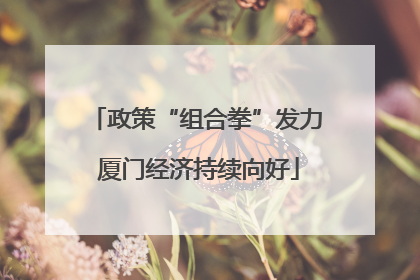 政策“组合拳”发力 厦门经济持续向好