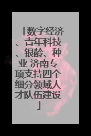 数字经济、青年科技、银龄、种业 济南专项支持四个细分领域人才队伍建设