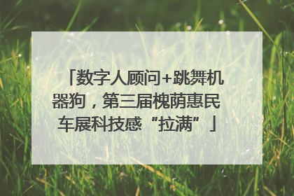 数字人顾问+跳舞机器狗，第三届槐荫惠民车展科技感“拉满”