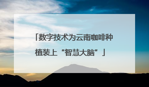 数字技术为云南咖啡种植装上“智慧大脑”