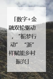 数字+金融双轮驱动，“栀梦行动”“浙”样赋能乡村振兴