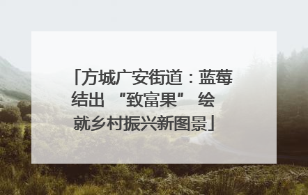 方城广安街道：蓝莓结出 “致富果” 绘就乡村振兴新图景