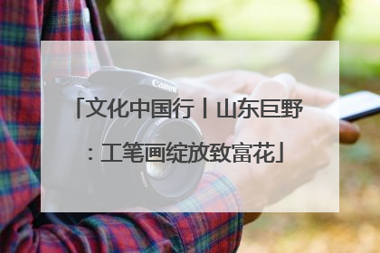文化中国行丨山东巨野：工笔画绽放致富花