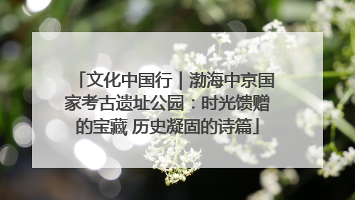 文化中国行｜渤海中京国家考古遗址公园：时光馈赠的宝藏 历史凝固的诗篇