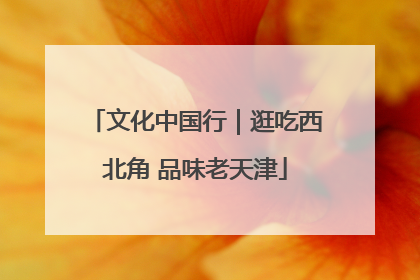文化中国行｜逛吃西北角 品味老天津
