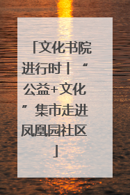 文化书院进行时丨“公益+文化”集市走进凤凰园社区