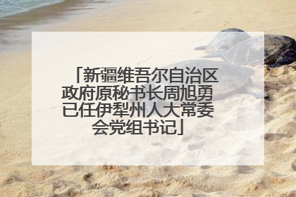 新疆维吾尔自治区政府原秘书长周旭勇已任伊犁州人大常委会党组书记