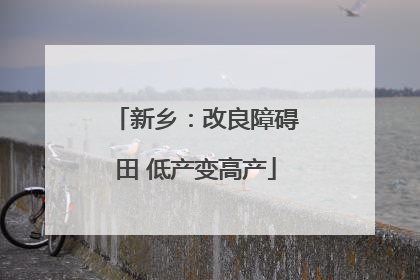 新乡：改良障碍田 低产变高产