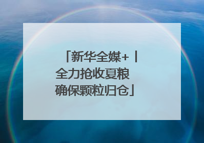 新华全媒+丨全力抢收夏粮 确保颗粒归仓
