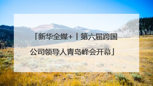 新华全媒+丨第六届跨国公司领导人青岛峰会开幕