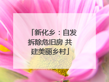 新化乡：自发拆除危旧房 共建美丽乡村