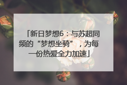 新日梦想6：与苏超同频的“梦想坐骑”，为每一份热爱全力加速