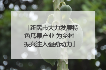 新民市大力发展特色瓜果产业 为乡村振兴注入强劲动力