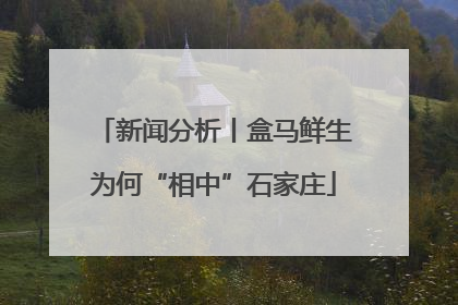 新闻分析丨盒马鲜生为何“相中”石家庄