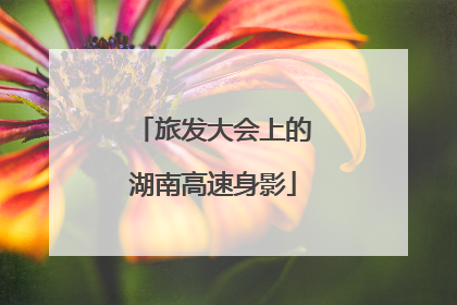 旅发大会上的湖南高速身影