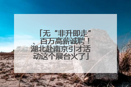 无“非升即走”、百万高薪诚聘！湖北赴南京引才活动这个展台火了