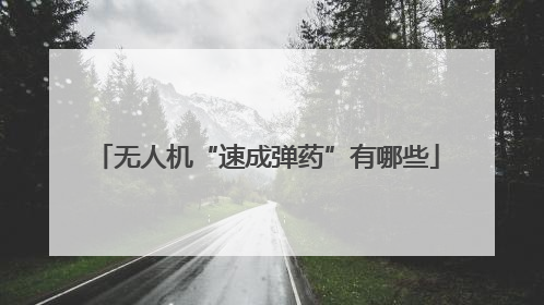 无人机“速成弹药”有哪些