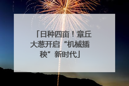 日种四亩！章丘大葱开启“机械插秧”新时代