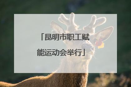 昆明市职工赋能运动会举行