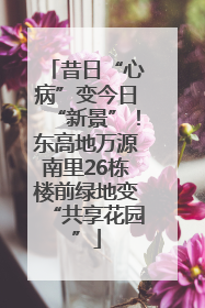 昔日“心病”变今日“新景”！东高地万源南里26栋楼前绿地变“共享花园”