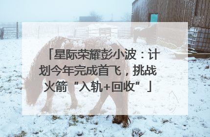 星际荣耀彭小波：计划今年完成首飞，挑战火箭“入轨+回收”