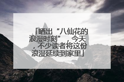 晒出“八仙花的浪漫时刻”，今天，不少读者将这份浪漫延续到家里