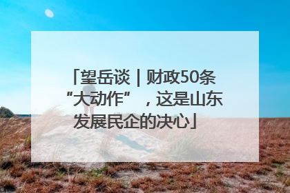 望岳谈｜财政50条“大动作”，这是山东发展民企的决心