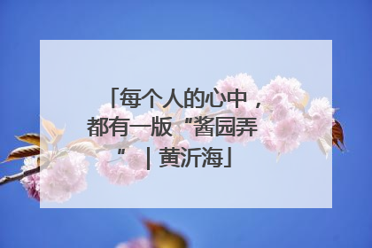 每个人的心中，都有一版“酱园弄”｜黄沂海