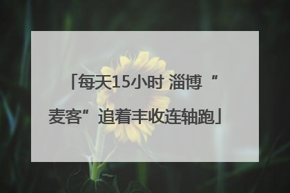 每天15小时 淄博“麦客”追着丰收连轴跑
